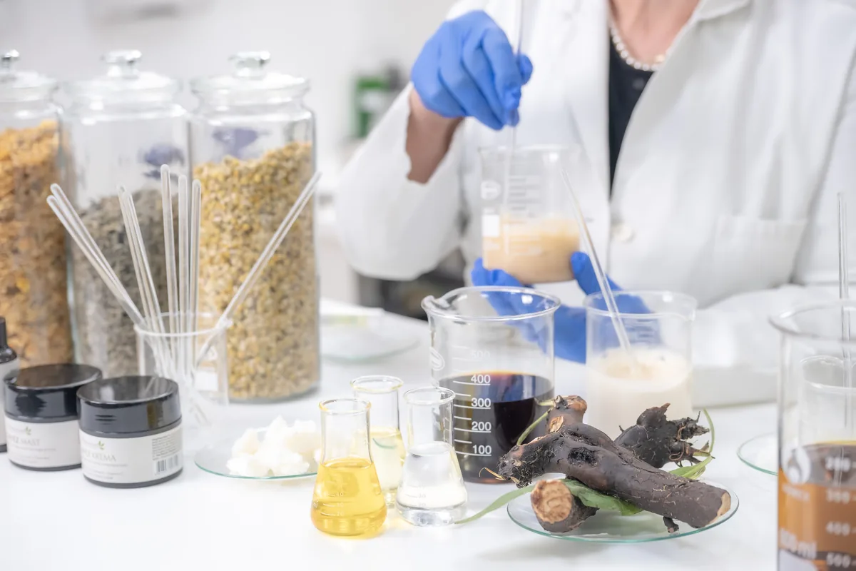 Koren gaveza i priprema Botanicus gavez masti u laboratoriji
